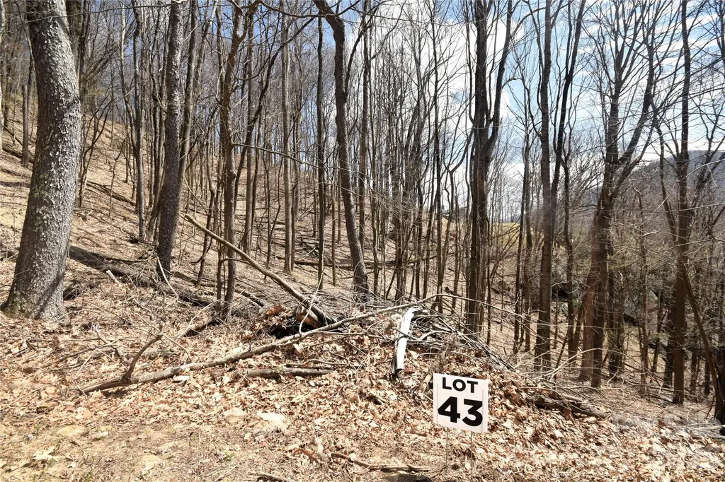 43 Marble Stone Drive Waynesville NC 28785