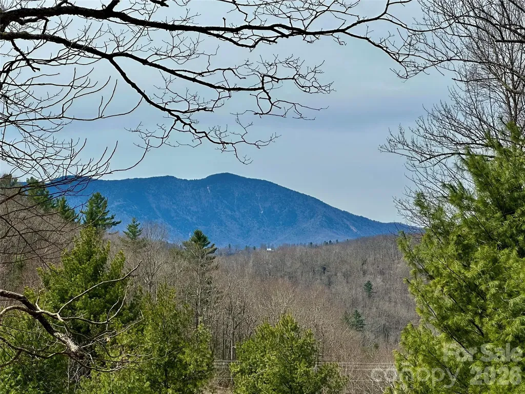 65 Blue Ridge Gem Mine Road Little Switzerland NC 28777