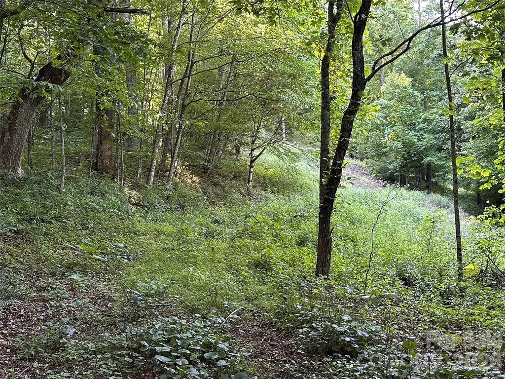 65 Blue Ridge Gem Mine Road Little Switzerland NC 28777