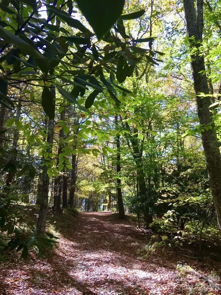 65 Blue Ridge Gem Mine Road Little Switzerland NC 28777