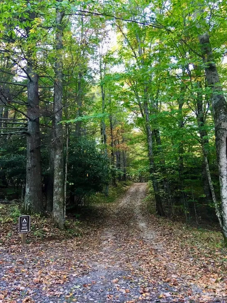 65 Blue Ridge Gem Mine Road Little Switzerland NC 28777