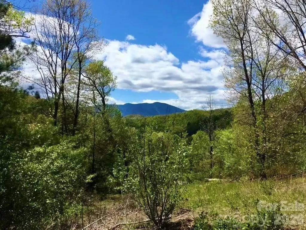 65 Blue Ridge Gem Mine Road Little Switzerland NC 28777
