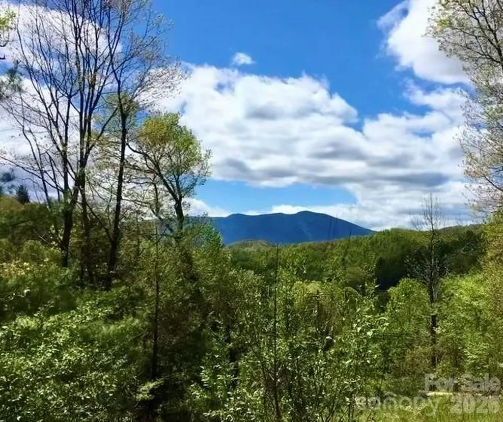 65 Blue Ridge Gem Mine Road Little Switzerland NC 28777