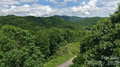 898 Morgan Hill Road Black Mountain NC 28711