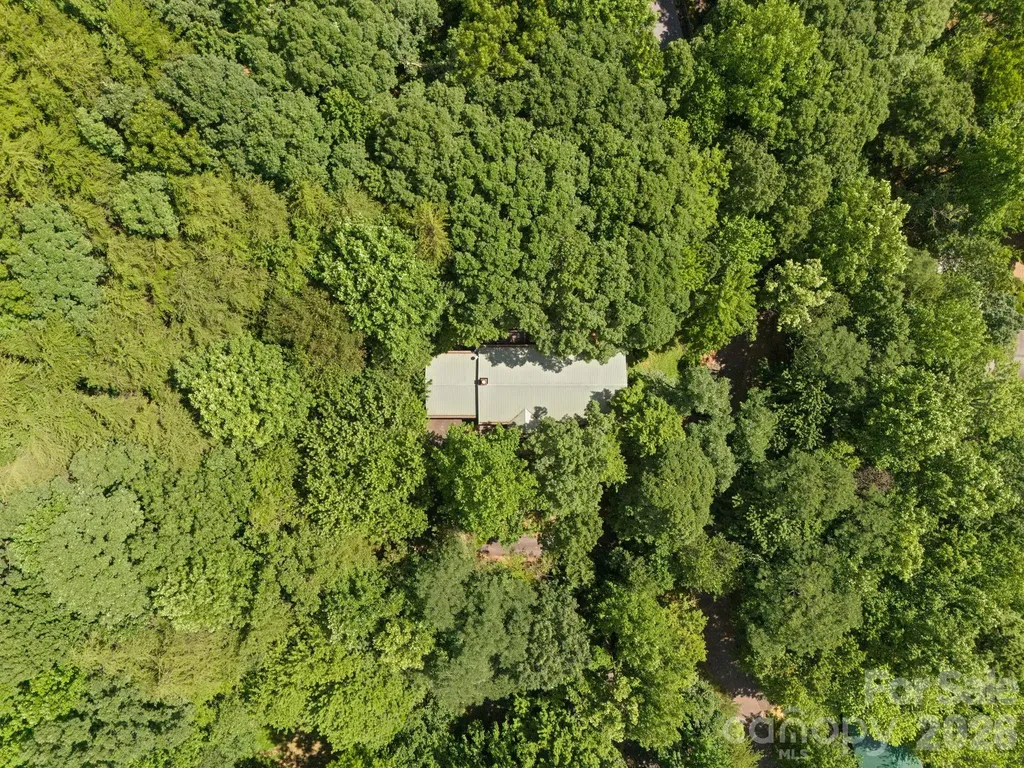 56 Cardinal Circle Tryon NC 28782