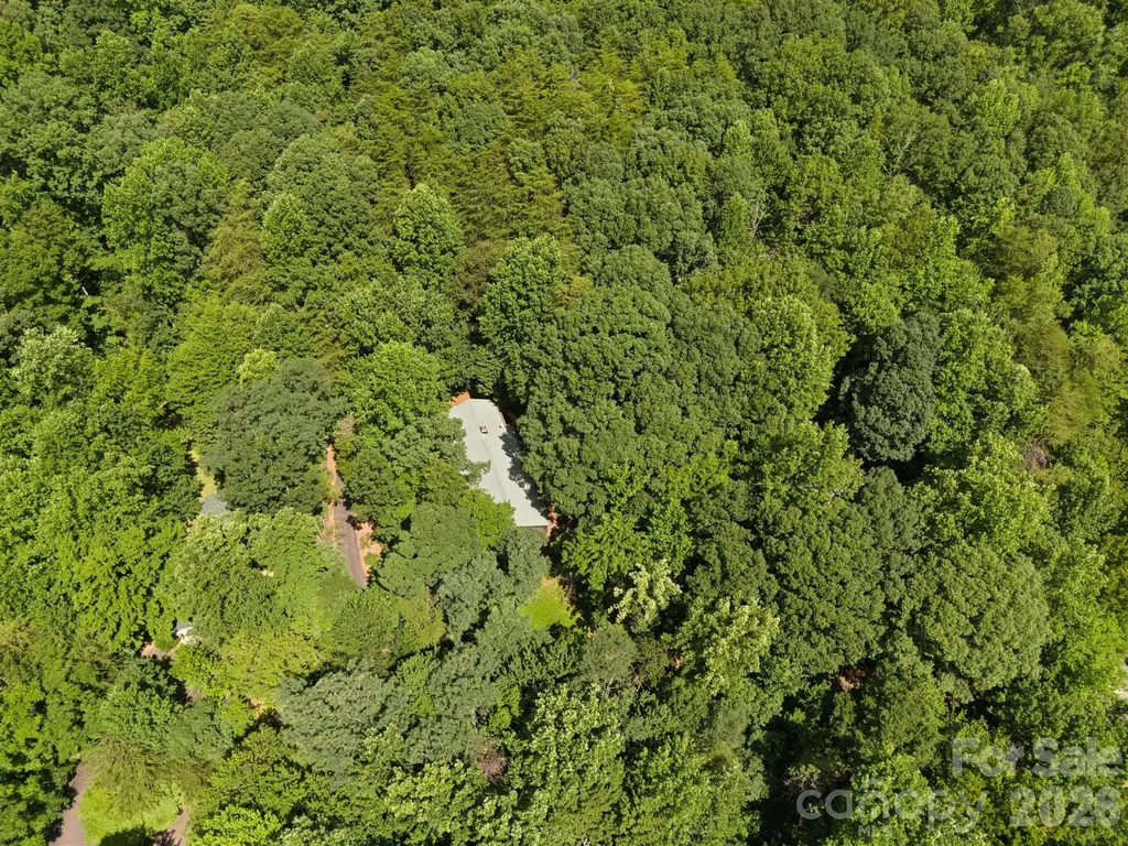 56 Cardinal Circle Tryon NC 28782