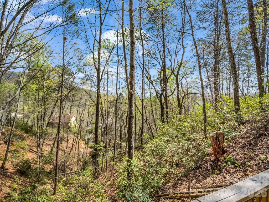 307 Watership Road Lake Lure NC 28746