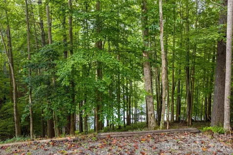 503 Larkhaven Drive Nebo NC 28761