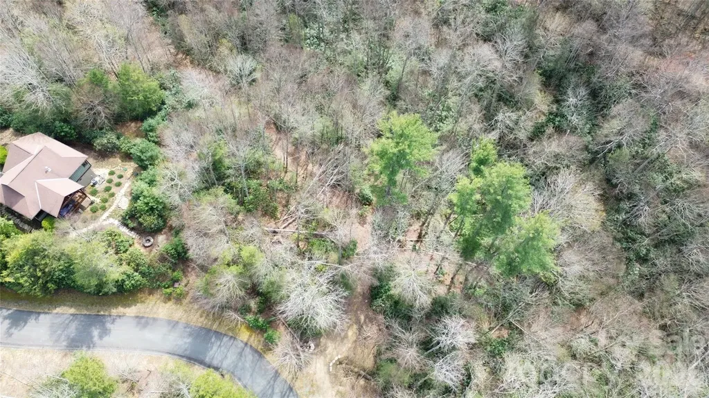 0000 Woodlake Loop Road Elk Park NC 28622