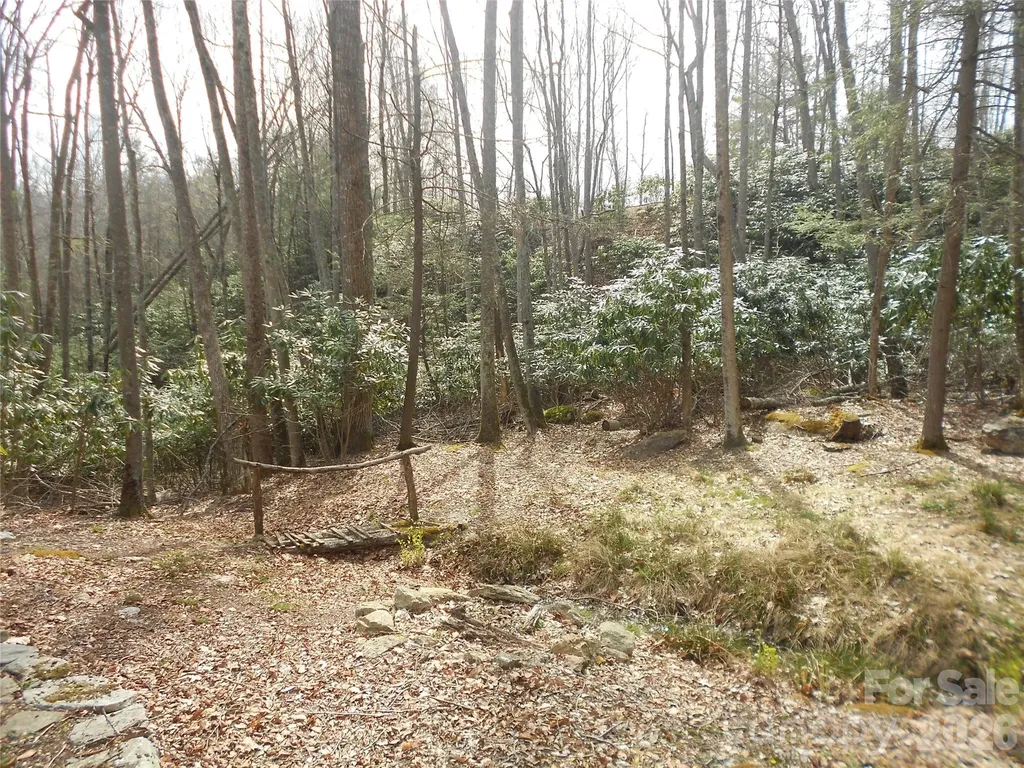 0000 Woodlake Loop Road Elk Park NC 28622