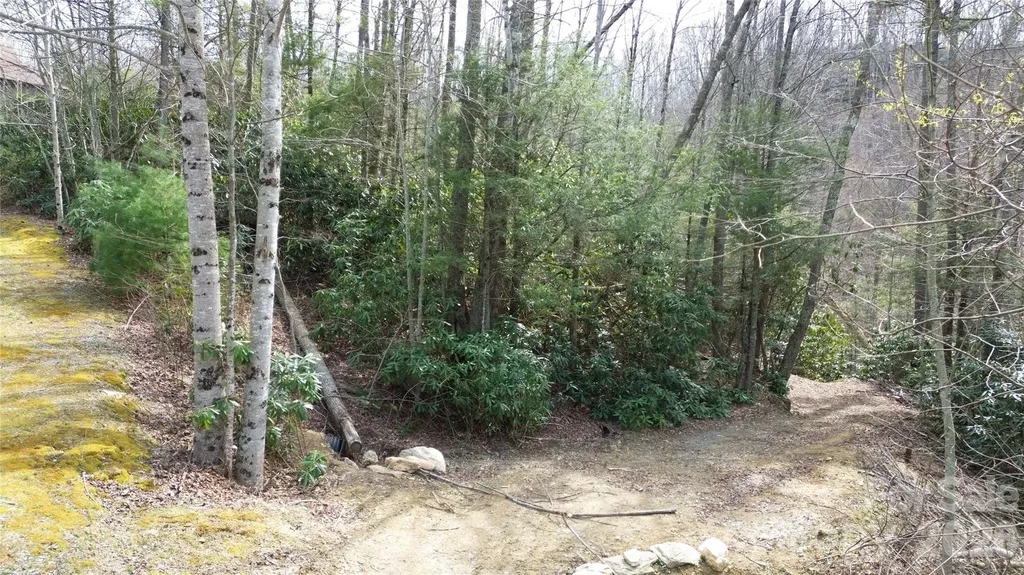0000 Woodlake Loop Road Elk Park NC 28622