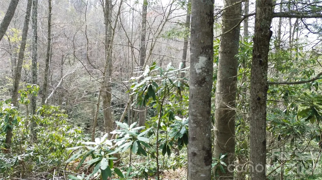 0000 Woodlake Loop Road Elk Park NC 28622