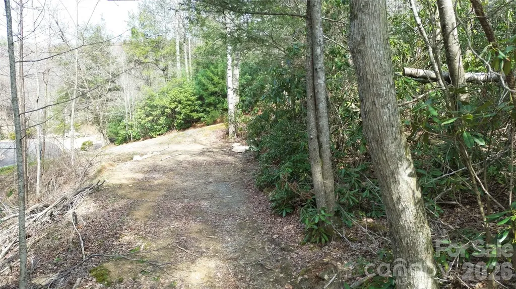 0000 Woodlake Loop Road Elk Park NC 28622