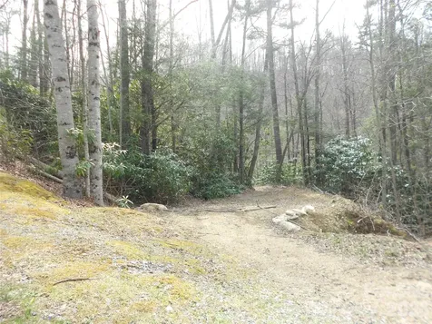 0000 Woodlake Loop Road Elk Park NC 28622