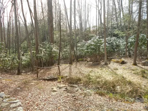0000 Woodlake Loop Road Elk Park NC 28622