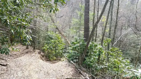 0000 Woodlake Loop Road Elk Park NC 28622