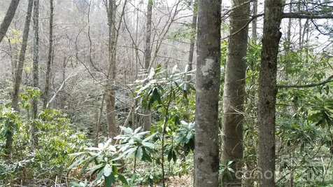 0000 Woodlake Loop Road Elk Park NC 28622