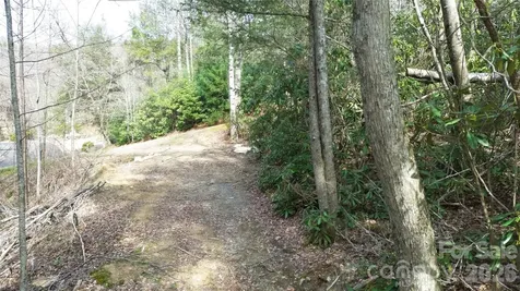 0000 Woodlake Loop Road Elk Park NC 28622
