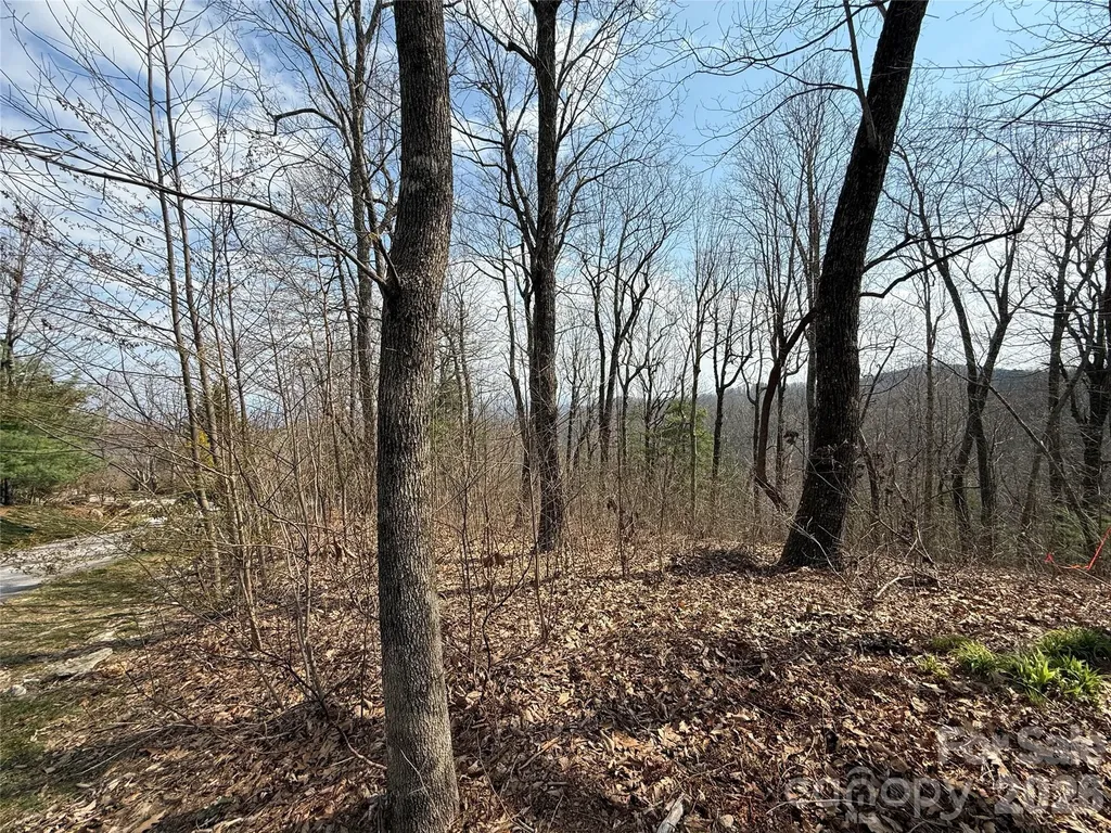 108 Fawncrest Court Flat Rock NC 28731