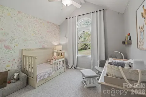 110 Steuben Drive Huntersville NC 28078