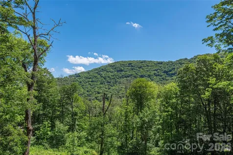 85 Iga Trail Maggie Valley NC 28751