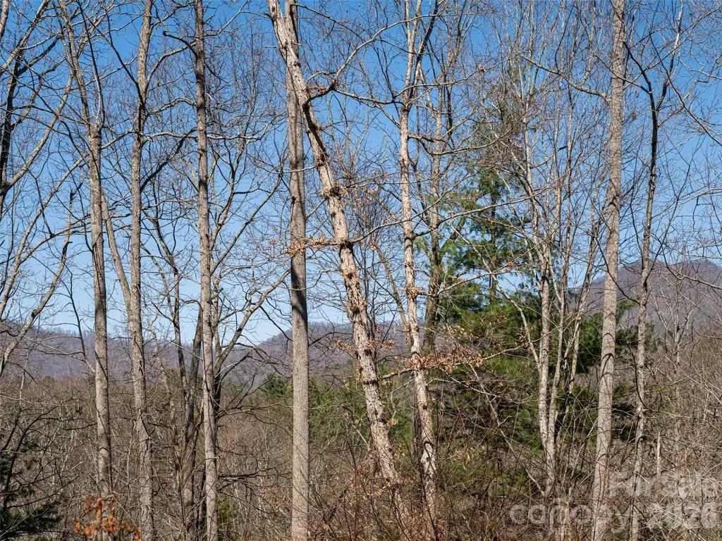 39 Oak Hollow Drive Asheville NC 28805