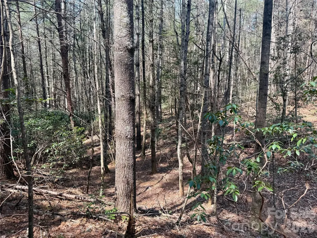 2494 Ivy Rays Way Nebo NC 28761
