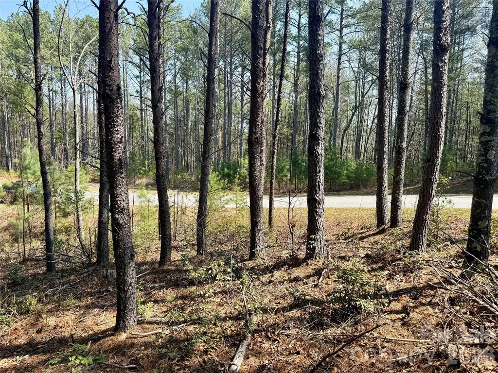 2494 Ivy Rays Way Nebo NC 28761
