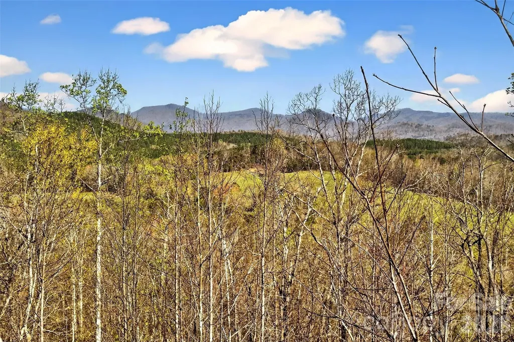 398 Waterfall Drive Marion NC 28752