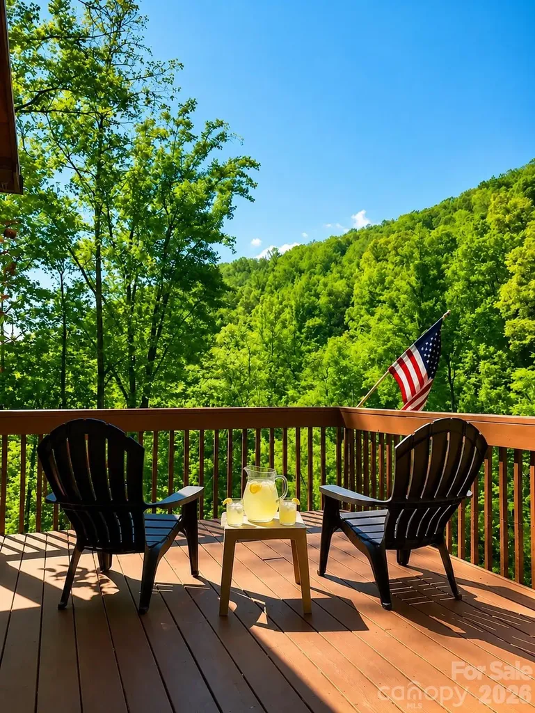 420 Chimney Rock Drive Weaverville NC 28787