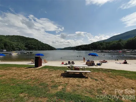 225 Sheepnose Drive Lake Lure NC 28746