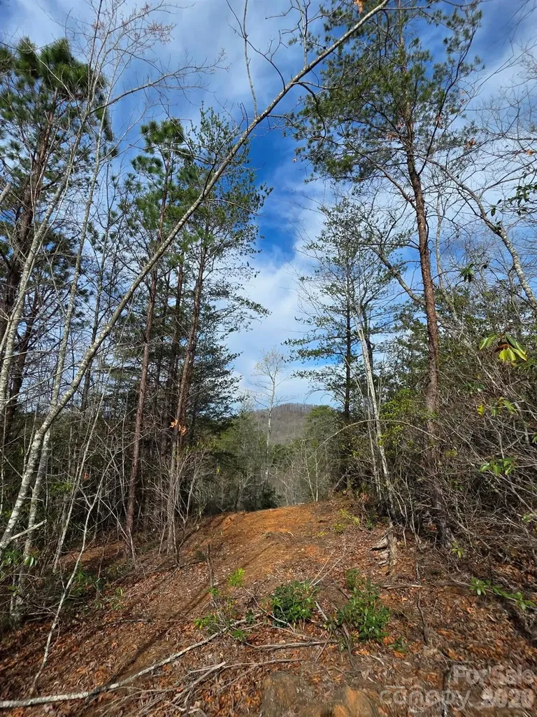Lot 9 Kerlee Lane Old Fort NC 28762
