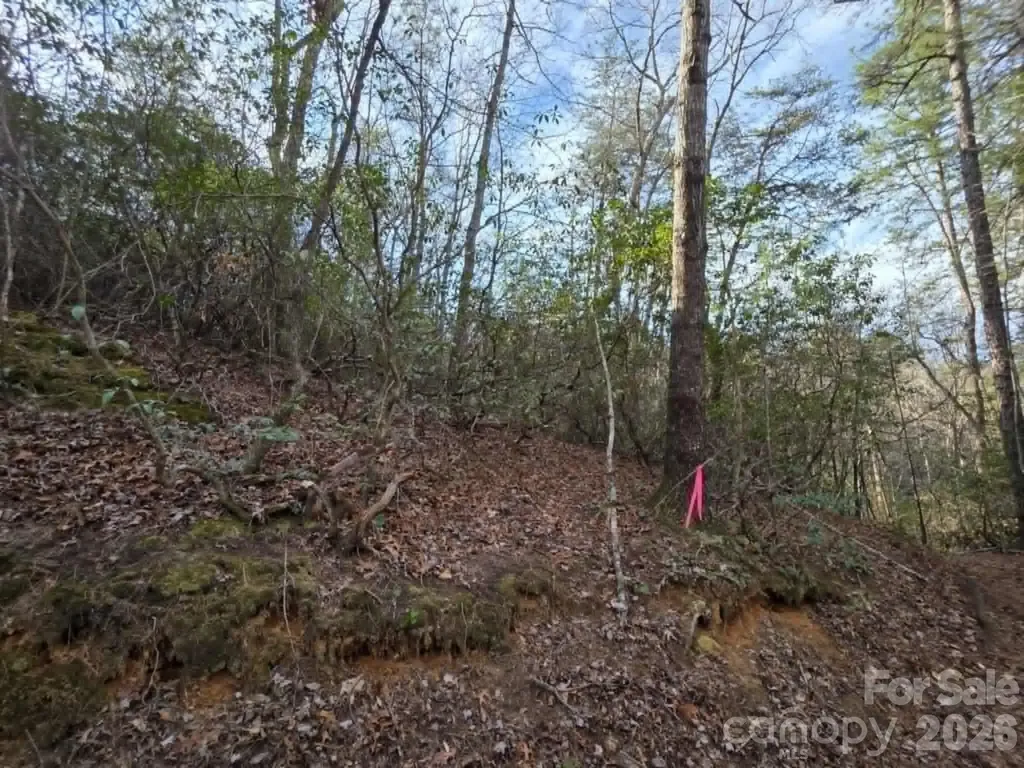 Lot 9 Kerlee Lane Old Fort NC 28762