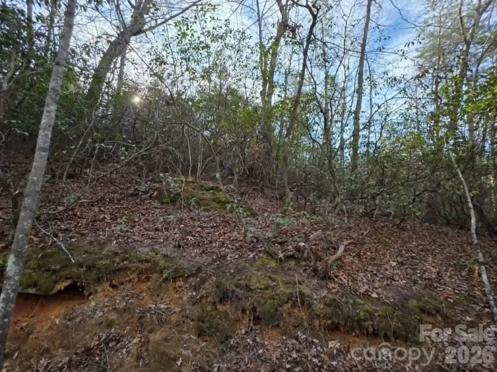 Lot 9 Kerlee Lane Old Fort NC 28762