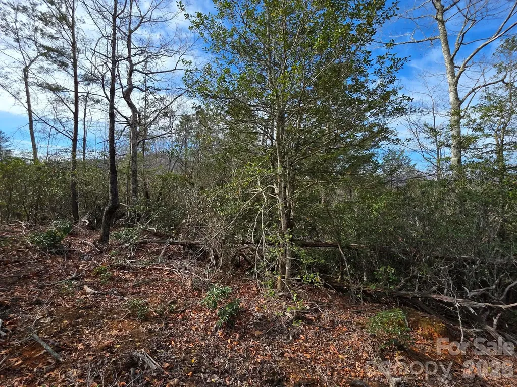 Lot 9 Kerlee Lane Old Fort NC 28762