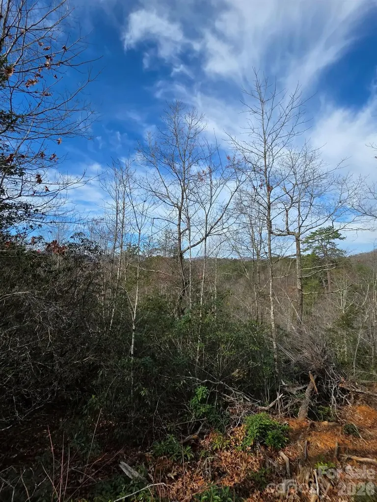 Lot 9 Kerlee Lane Old Fort NC 28762