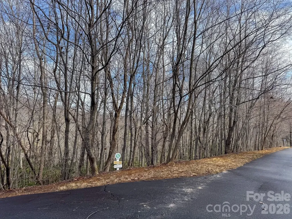 9999 Rainbow Falls Trail Black Mountain NC 28711