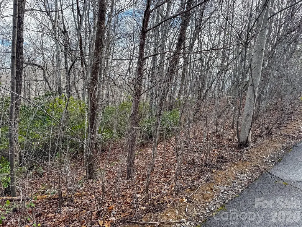 9999 Rainbow Falls Trail Black Mountain NC 28711