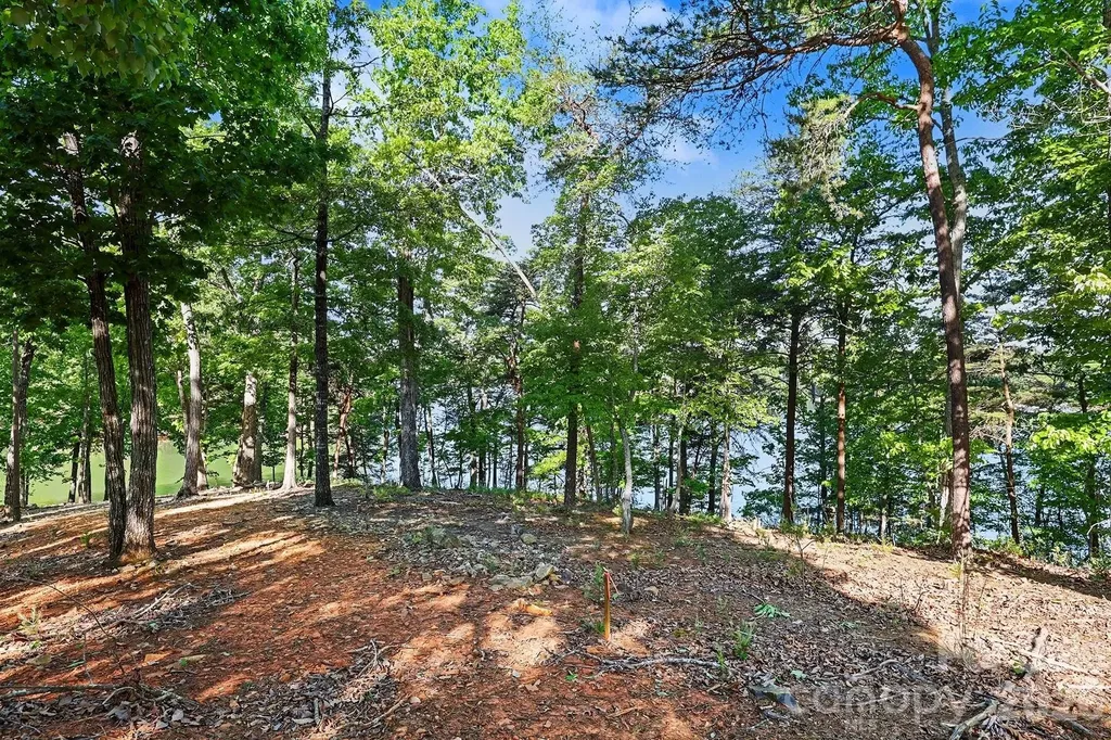 1629 Healing Springs Drive Denton NC 27239