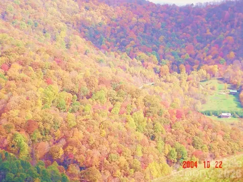 1050 Turkey Trot Road Clyde NC 28721