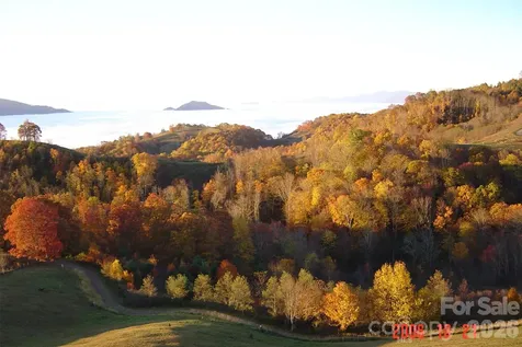 1050 Turkey Trot Road Clyde NC 28721