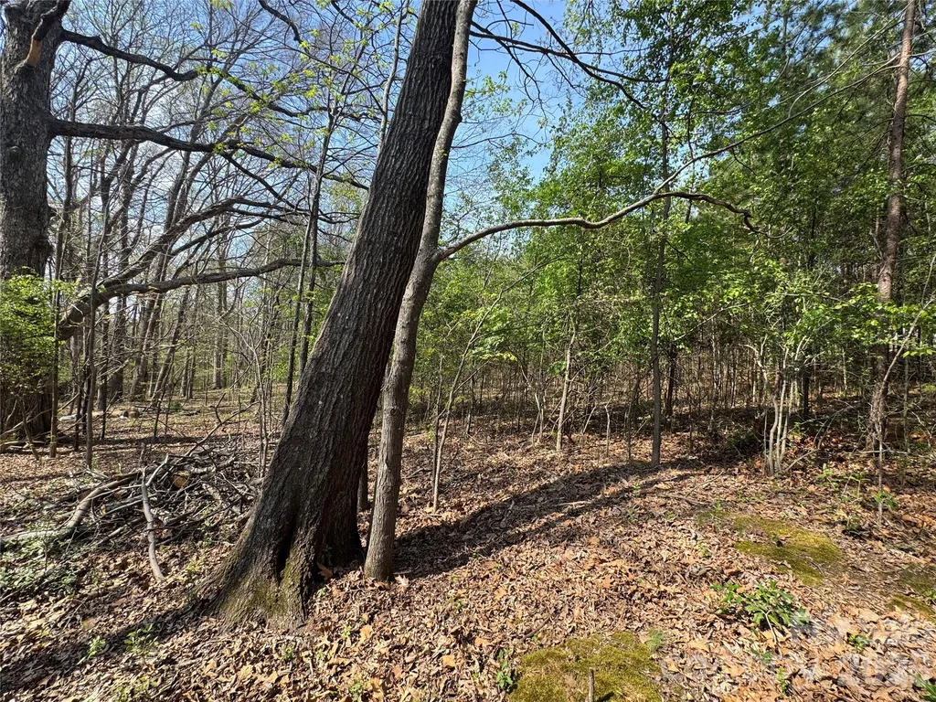 2228 Sam Newell Road Matthews NC 28105