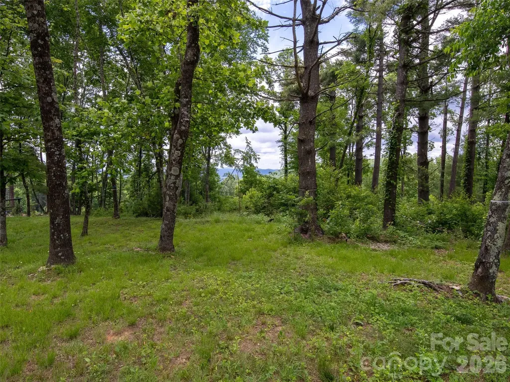 189 Dancing Bear Drive Hendersonville NC 28792