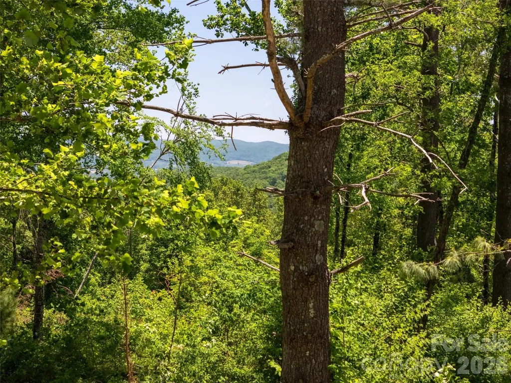189 Dancing Bear Drive Hendersonville NC 28792