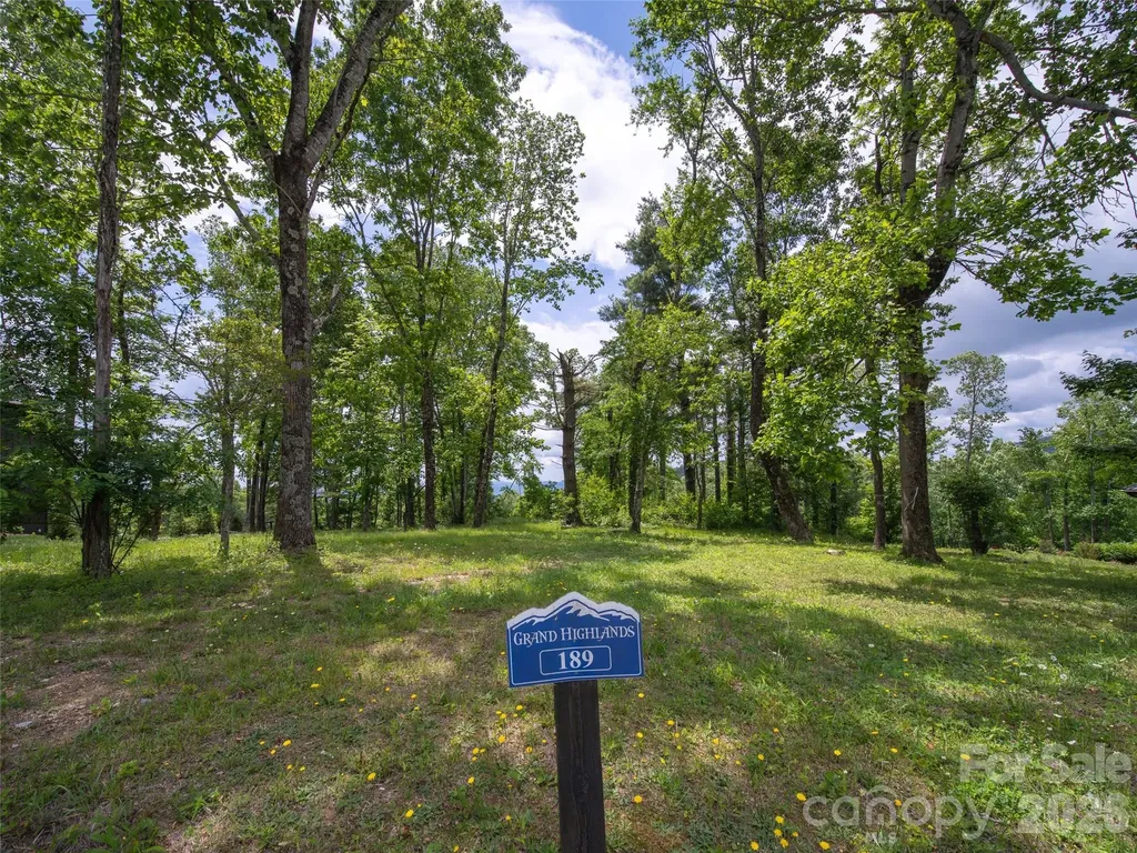 189 Dancing Bear Drive Hendersonville NC 28792