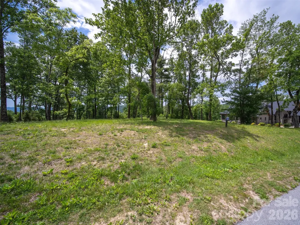 189 Dancing Bear Drive Hendersonville NC 28792