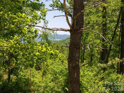 189 Dancing Bear Drive Hendersonville NC 28792