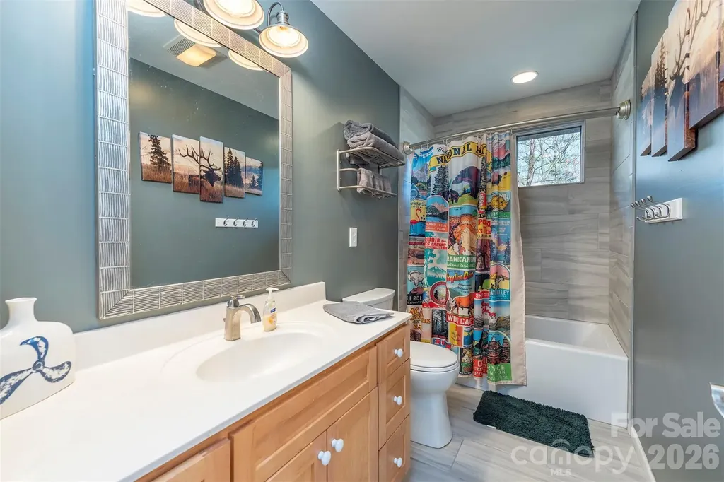 171 Wilson Court Lake Lure NC 28746