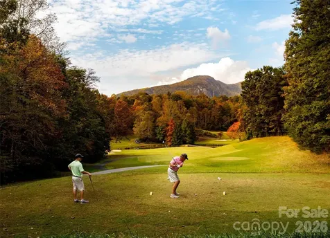 171 Wilson Court Lake Lure NC 28746