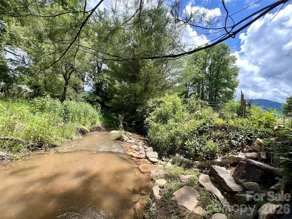 3 Taproot Trail Barnardsville NC 28709